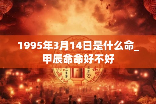 1995年3月14日是什么命_甲辰命命好不好