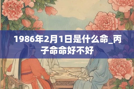 1986年2月1日是什么命_丙子命命好不好