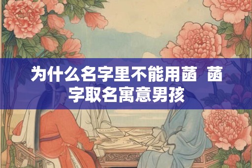 为什么名字里不能用菡  菡字取名寓意男孩