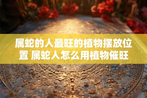 属蛇的人最旺的植物摆放位置 属蛇人怎么用植物催旺运势 属蛇的人最旺的植物摆放位置 属蛇人怎么用植物催旺运势