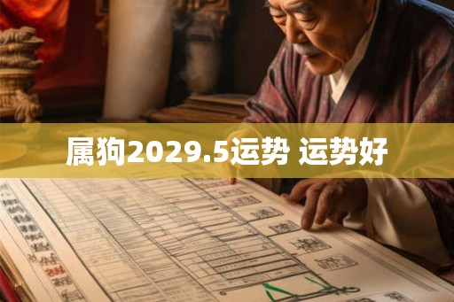 属狗2029.5运势 运势好