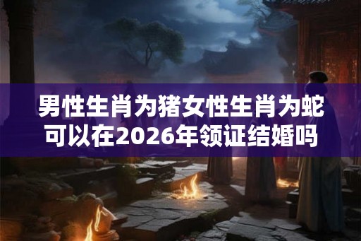 男性生肖为猪女性生肖为蛇可以在2026年领证结婚吗？