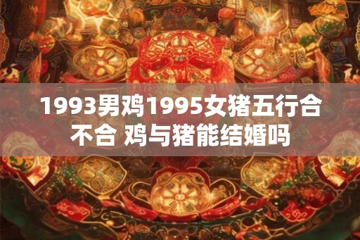 1993男鸡1995女猪五行合不合 鸡与猪能结婚吗