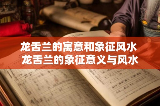 龙舌兰的寓意和象征风水 龙舌兰的象征意义与风水