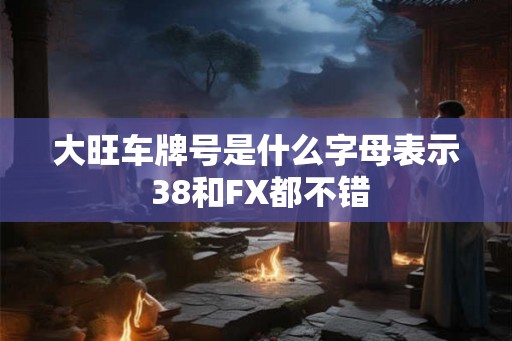 大旺车牌号是什么字母表示 38和FX都不错