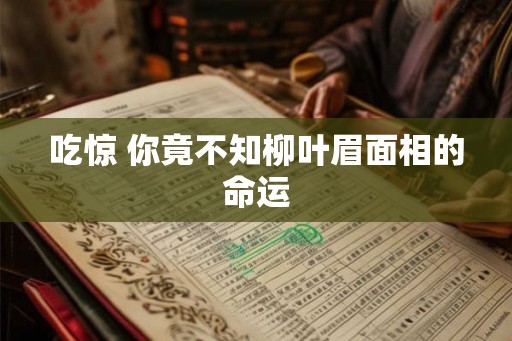 吃惊 你竟不知柳叶眉面相的命运