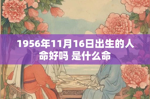 1956年11月16日出生的人命好吗 是什么命 1956年11月16日出生的人命好吗 是什么命