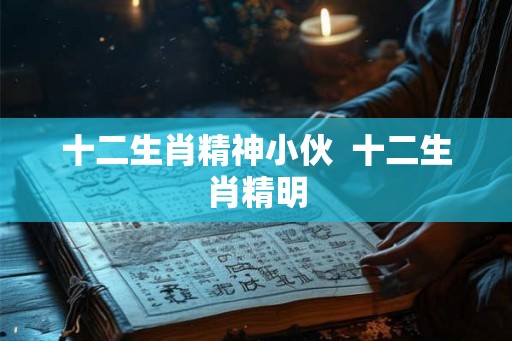 十二生肖精神小伙  十二生肖精明
