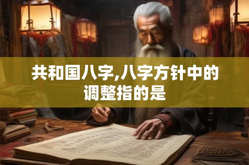 共和国八字,八字方针中的调整指的是