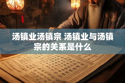 汤镇业汤镇宗 汤镇业与汤镇宗的关系是什么