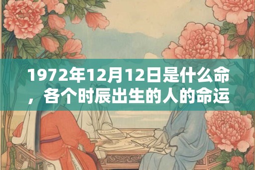 1972年12月12日是什么命，各个时辰出生的人的命运