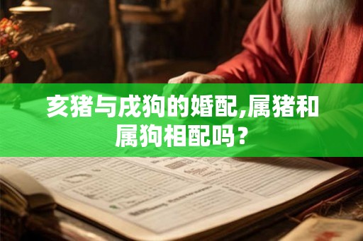 亥猪与戌狗的婚配,属猪和属狗相配吗？