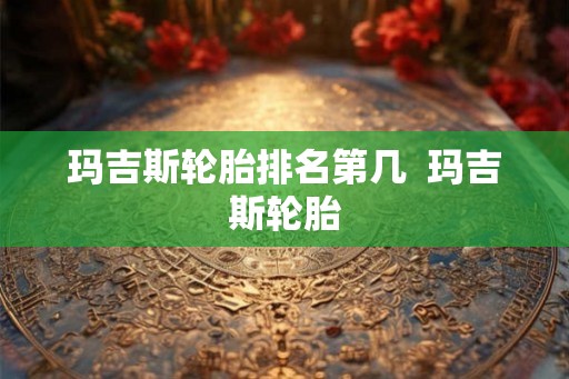 玛吉斯轮胎排名第几  玛吉斯轮胎