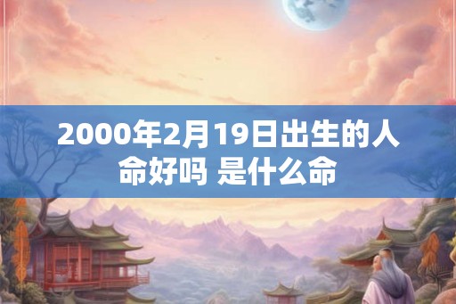 2000年2月19日出生的人命好吗 是什么命