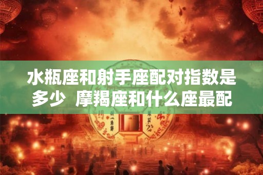 水瓶座和射手座配对指数是多少  摩羯座和什么座最配