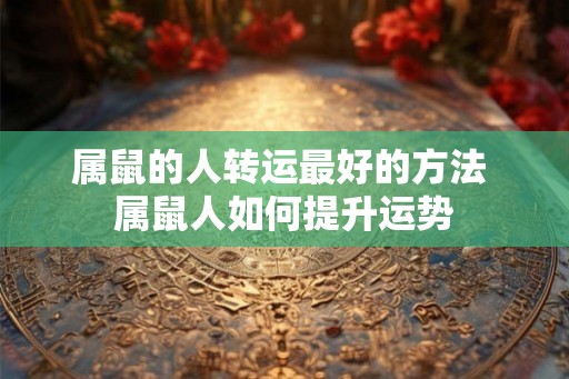 属鼠的人转运最好的方法 属鼠人如何提升运势
