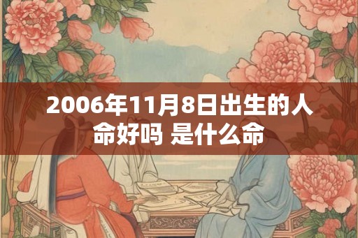2006年11月8日出生的人命好吗 是什么命
