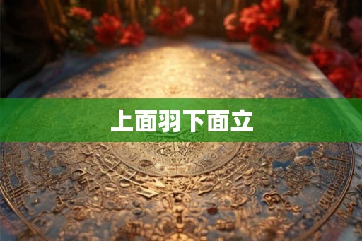 上面羽下面立