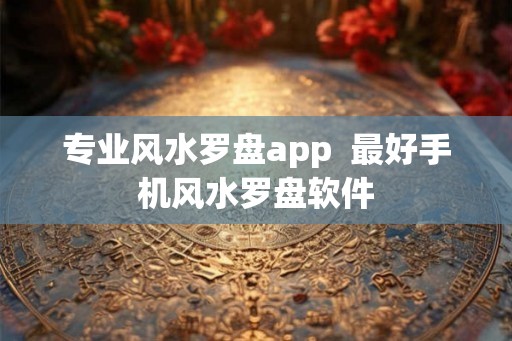 专业风水罗盘app 最好手机风水罗盘软件 专业风水罗盘app 最好手机风水罗盘软件
