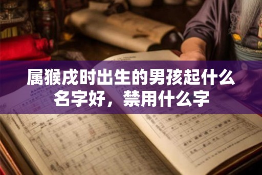 属猴戌时出生的男孩起什么名字好，禁用什么字