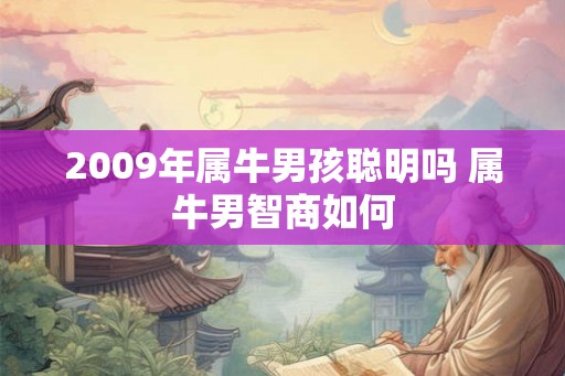 2009年属牛男孩聪明吗 属牛男智商如何