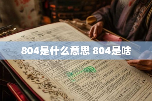804是什么意思 804是啥