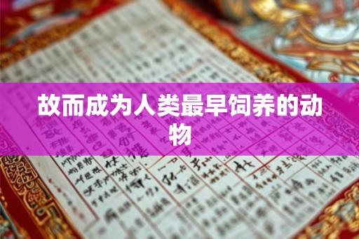 故而成为人类最早饲养的动物