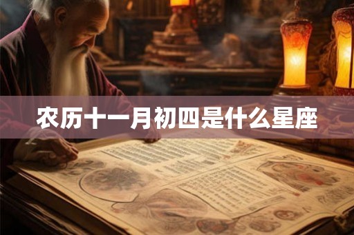 农历十一月初四是什么星座