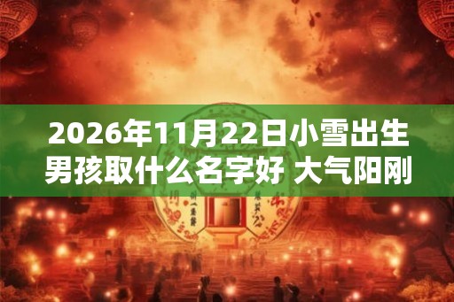 2026年11月22日小雪出生男孩取什么名字好 大气阳刚的起名合集