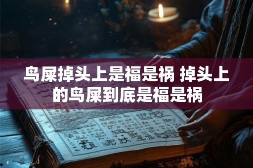 鸟屎掉头上是福是祸 掉头上的鸟屎到底是福是祸 鸟屎掉头上是福是祸 掉头上的鸟屎到底是福是祸