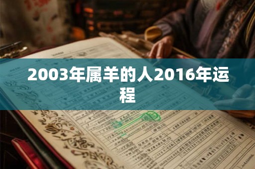 2003年属羊的人2016年运程