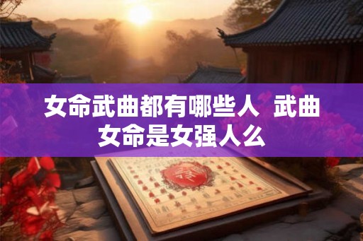女命武曲都有哪些人  武曲女命是女强人么