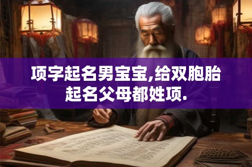 项字起名男宝宝,给双胞胎起名父母都姓项.