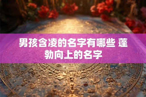 男孩含凌的名字有哪些 蓬勃向上的名字