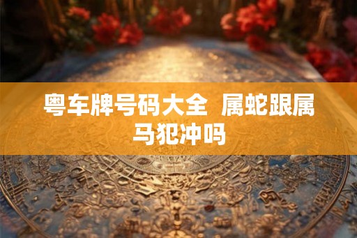 粤车牌号码大全  属蛇跟属马犯冲吗