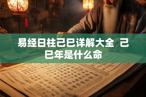 易经日柱己巳详解大全  己巳年是什么命