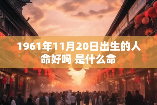 1961年11月20日出生的人命好吗 是什么命