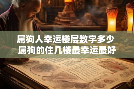 属狗人幸运楼层数字多少 属狗的住几楼最幸运最好 属狗人幸运楼层数字多少 属狗的住几楼最幸运最好