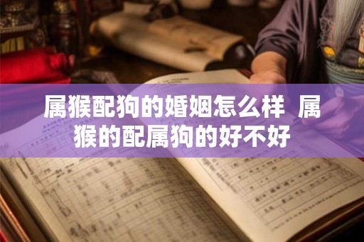 属猴配狗的婚姻怎么样  属猴的配属狗的好不好