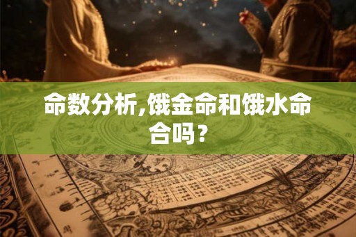 命数分析,饿金命和饿水命合吗？