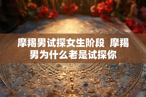 摩羯男试探女生阶段  摩羯男为什么老是试探你