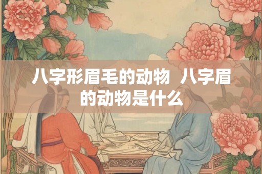 八字形眉毛的动物  八字眉的动物是什么