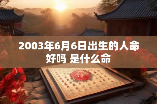 2003年6月6日出生的人命好吗 是什么命