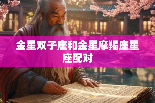 金星双子座和金星摩羯座星座配对