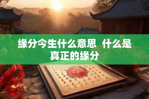 缘分今生什么意思  什么是真正的缘分