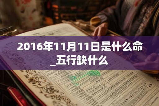 2016年11月11日是什么命_五行缺什么
