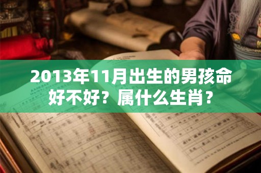2013年11月出生的男孩命好不好？属什么生肖？