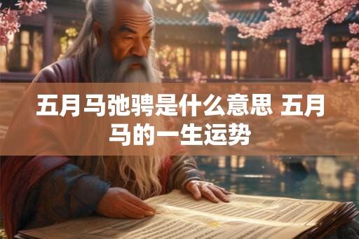 五月马弛骋是什么意思 五月马的一生运势 五月马弛骋是什么意思 五月马的一生运势