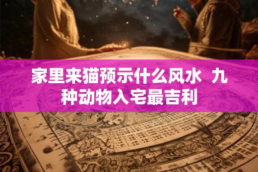 家里来猫预示什么风水  九种动物入宅最吉利