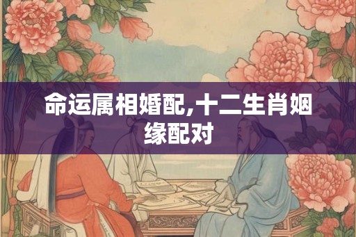 命运属相婚配,十二生肖姻缘配对